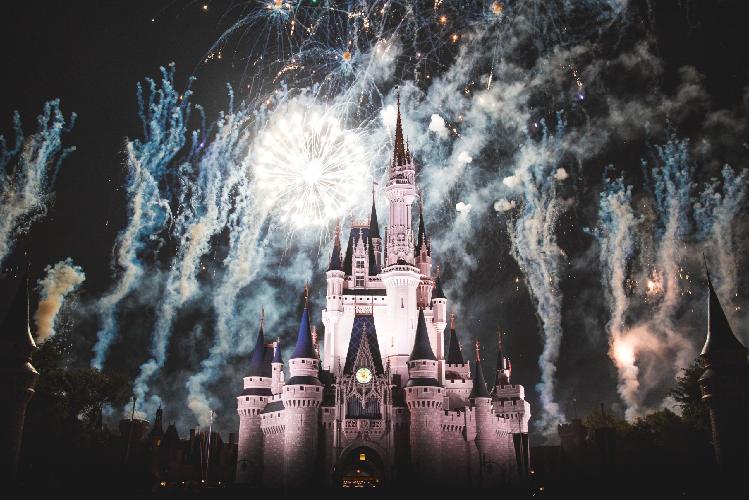 Disney castle & fireworks