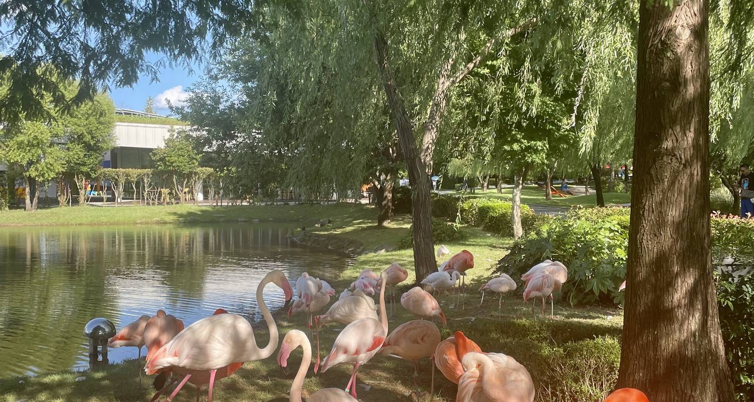 코리아 패키지 히어로