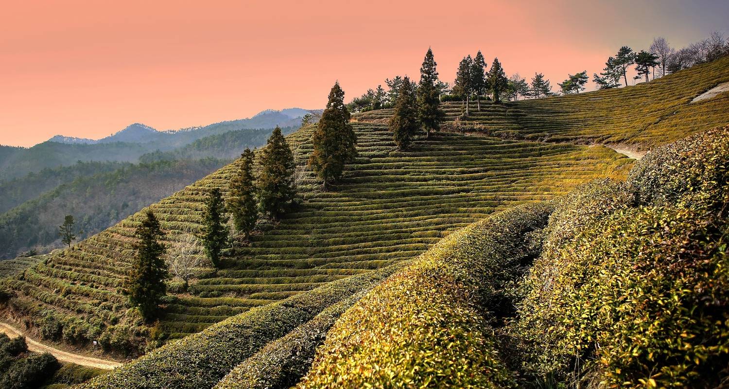 7일 한국 하이라이트