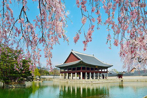 부산 당일 투어